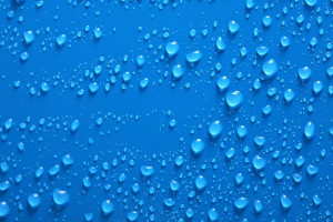 2022世界杯：梅西的最后一舞，潘帕斯雄鹰能否圆梦卢赛尔